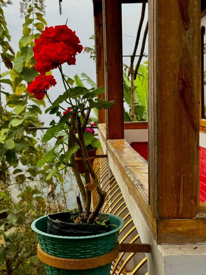 Eviana Homestay Дарджилинг Екстериор снимка